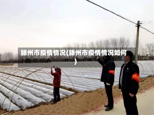 滕州市疫情情况(滕州市疫情情况如何)-第3张图片