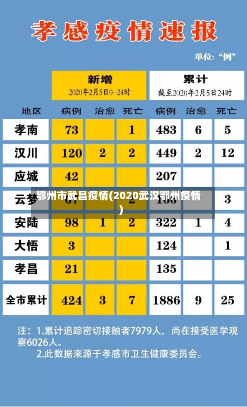 鄂州市武昌疫情(2020武汉鄂州疫情)-第3张图片