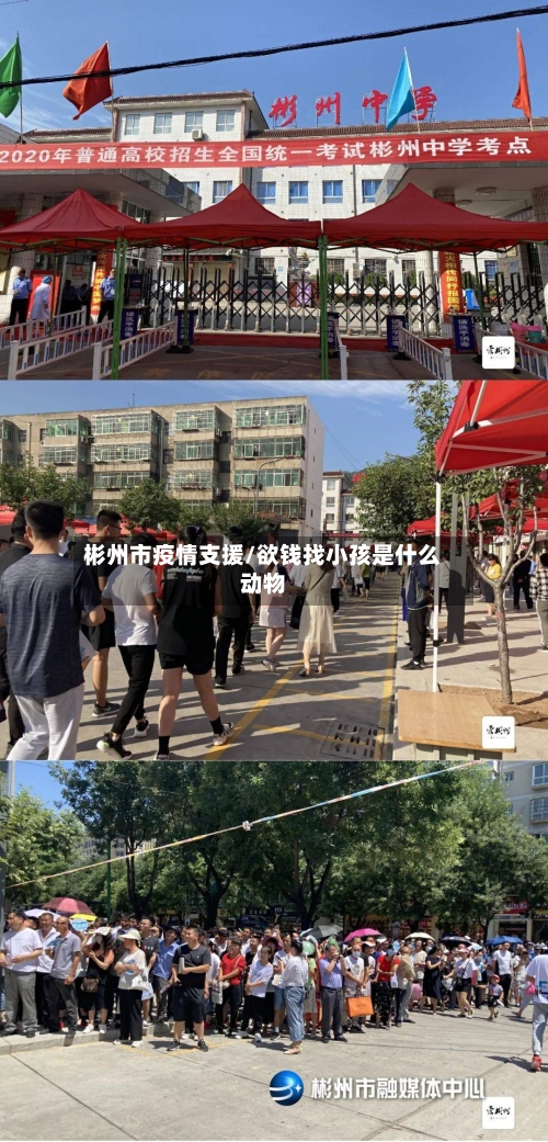 彬州市疫情支援/欲钱找小孩是什么动物-第3张图片