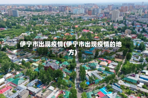 伊宁市出现疫情(伊宁市出现疫情的地方)-第3张图片
