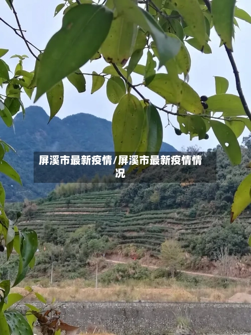 屏溪市最新疫情/屏溪市最新疫情情况