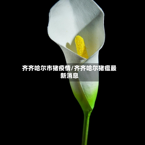 齐齐哈尔市猪疫情/齐齐哈尔猪瘟最新消息