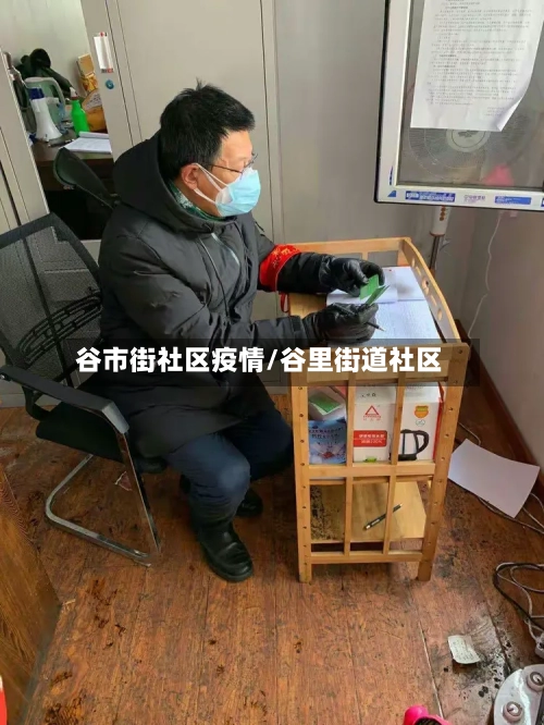 谷市街社区疫情/谷里街道社区-第3张图片