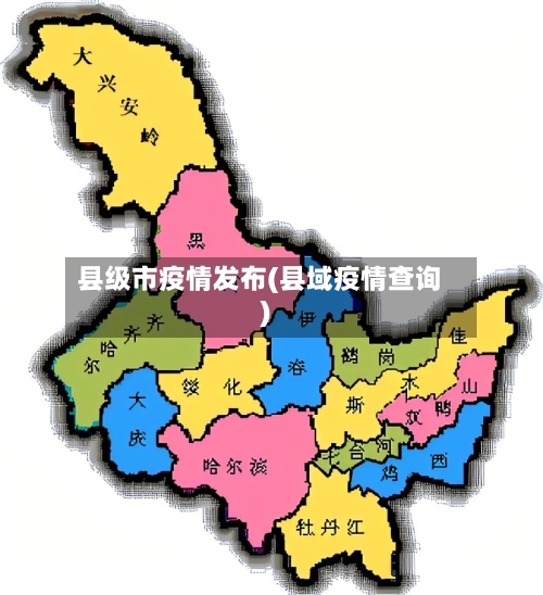 县级市疫情发布(县域疫情查询)-第2张图片