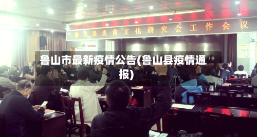 鲁山市最新疫情公告(鲁山县疫情通报)-第3张图片