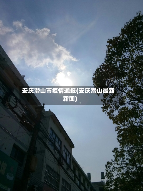 安庆潜山市疫情通报(安庆潜山最新新闻)-第2张图片