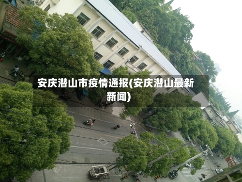安庆潜山市疫情通报(安庆潜山最新新闻)-第3张图片