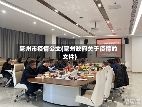亳州市疫情公文(亳州政府关于疫情的文件)