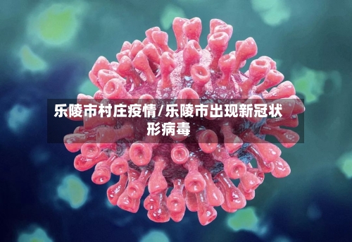 乐陵市村庄疫情/乐陵市出现新冠状形病毒-第2张图片