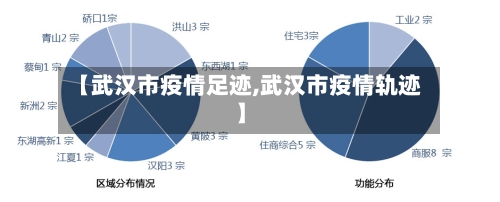 【武汉市疫情足迹,武汉市疫情轨迹】