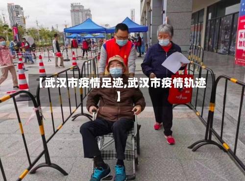 【武汉市疫情足迹,武汉市疫情轨迹】-第2张图片
