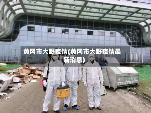 黄冈市大野疫情(黄冈市大野疫情最新消息)-第2张图片