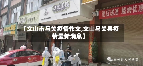 【文山市马关疫情作文,文山马关县疫情最新消息】-第2张图片