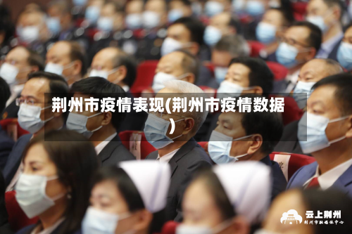 荆州市疫情表现(荆州市疫情数据)-第3张图片