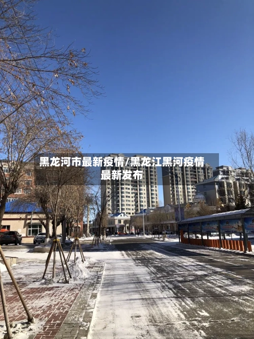黑龙河市最新疫情/黑龙江黑河疫情最新发布-第3张图片
