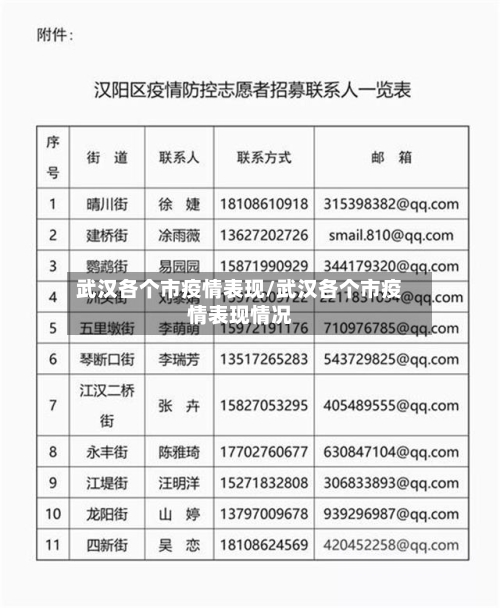 武汉各个市疫情表现/武汉各个市疫情表现情况-第3张图片