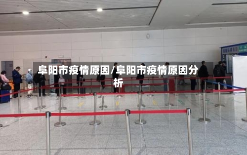 阜阳市疫情原因/阜阳市疫情原因分析-第2张图片