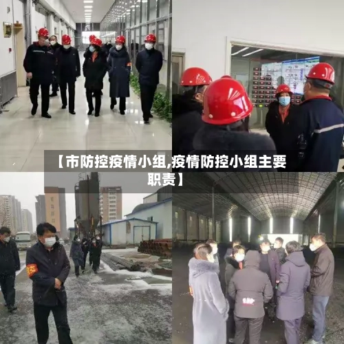 【市防控疫情小组,疫情防控小组主要职责】