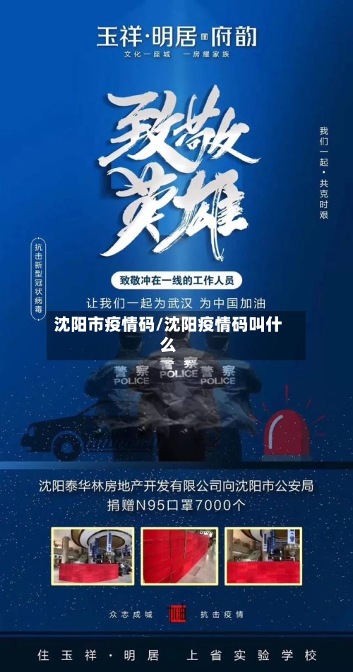 沈阳市疫情码/沈阳疫情码叫什么-第2张图片
