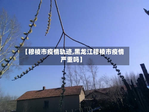 【穆棱市疫情轨迹,黑龙江穆棱市疫情严重吗】-第2张图片