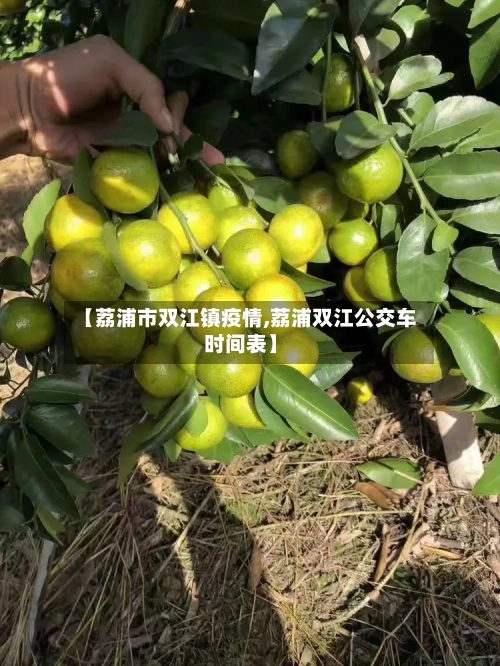 【荔浦市双江镇疫情,荔浦双江公交车时间表】