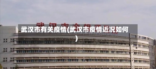武汉市有关疫情(武汉市疫情近况如何)-第2张图片