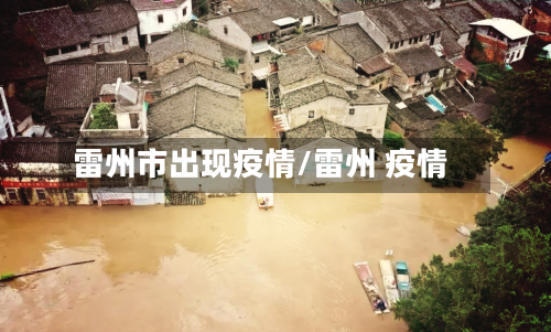 雷州市出现疫情/雷州 疫情-第2张图片