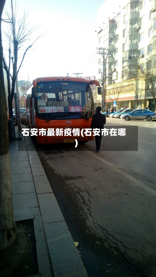 石安市最新疫情(石安市在哪)-第3张图片