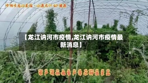 【龙江讷河市疫情,龙江讷河市疫情最新消息】