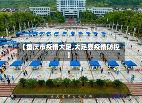 【重庆市疫情大足,大足县疫情防控】-第3张图片