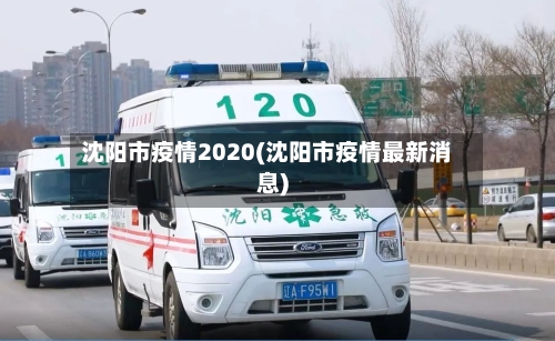 沈阳市疫情2020(沈阳市疫情最新消息)