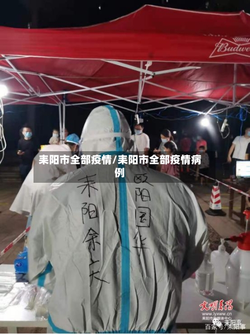 耒阳市全部疫情/耒阳市全部疫情病例