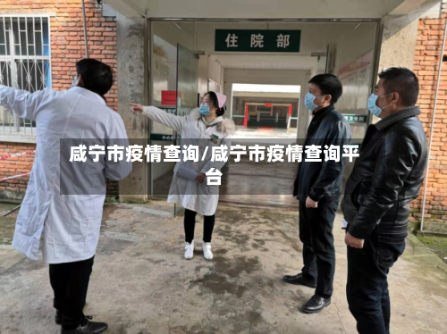 咸宁市疫情查询/咸宁市疫情查询平台-第3张图片