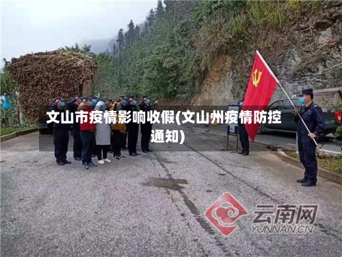 文山市疫情影响收假(文山州疫情防控通知)