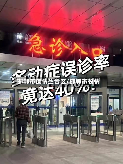 邯郸市疫情丛台区/邯郸市役情