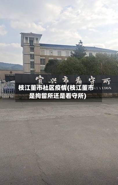 枝江董市社区疫情(枝江董市是拘留所还是看守所)