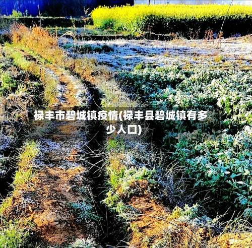 禄丰市碧城镇疫情(禄丰县碧城镇有多少人口)-第2张图片