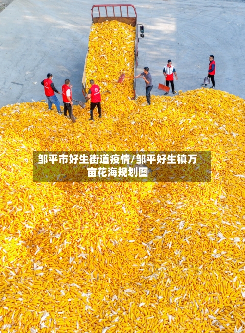 邹平市好生街道疫情/邹平好生镇万亩花海规划图-第3张图片