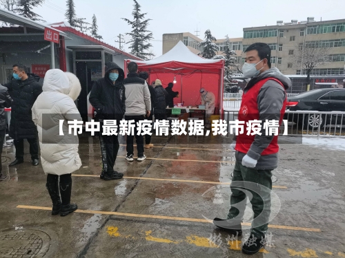 【市中最新疫情数据,我市疫情】-第2张图片