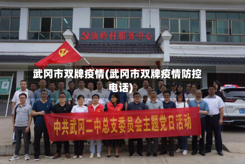 武冈市双牌疫情(武冈市双牌疫情防控电话)-第3张图片