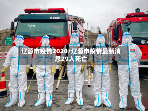 辽源市疫情2020/辽源市疫情最新消息29人死亡-第3张图片
