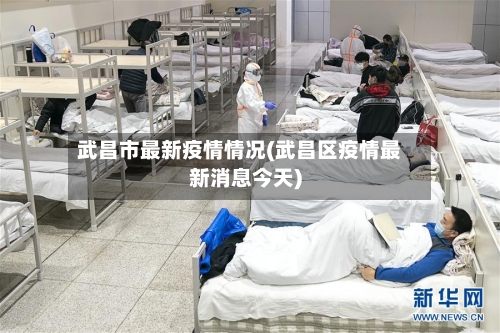 武昌市最新疫情情况(武昌区疫情最新消息今天)