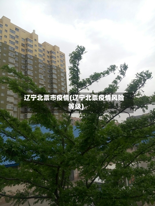 辽宁北票市疫情(辽宁北票疫情风险等级)
