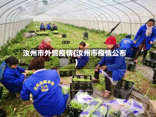 汝州市外贸疫情(汝州市疫情公布)-第3张图片