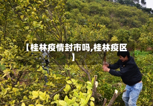 【桂林疫情封市吗,桂林疫区】-第2张图片