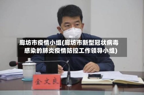 廊坊市疫情小组(廊坊市新型冠状病毒感染的肺炎疫情防控工作领导小组)