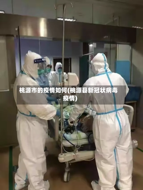 桃源市的疫情如何(桃源县新冠状病毒疫情)