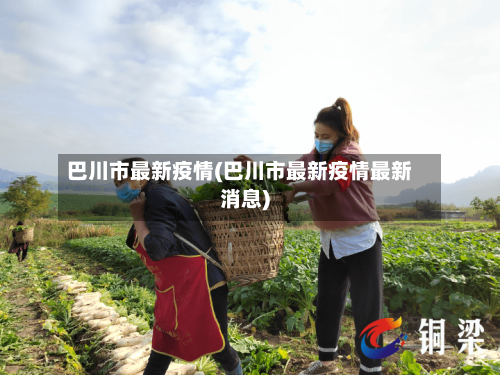 巴川市最新疫情(巴川市最新疫情最新消息)-第2张图片