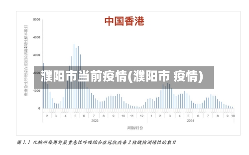濮阳市当前疫情(濮阳市 疫情)