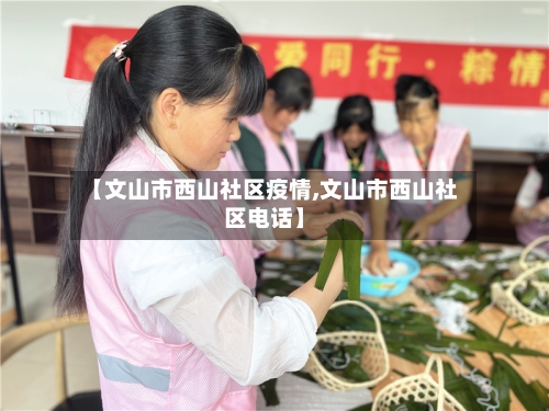 【文山市西山社区疫情,文山市西山社区电话】